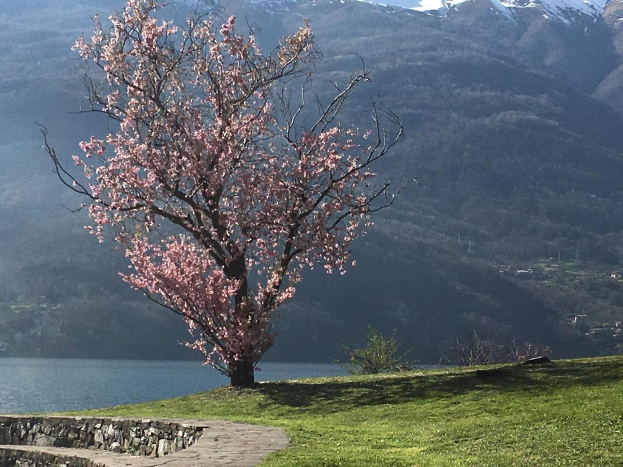 Riflessi Di Lago Dorio Luaran gambar